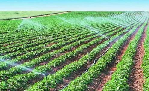 操b射精插插视频农田高 效节水灌溉